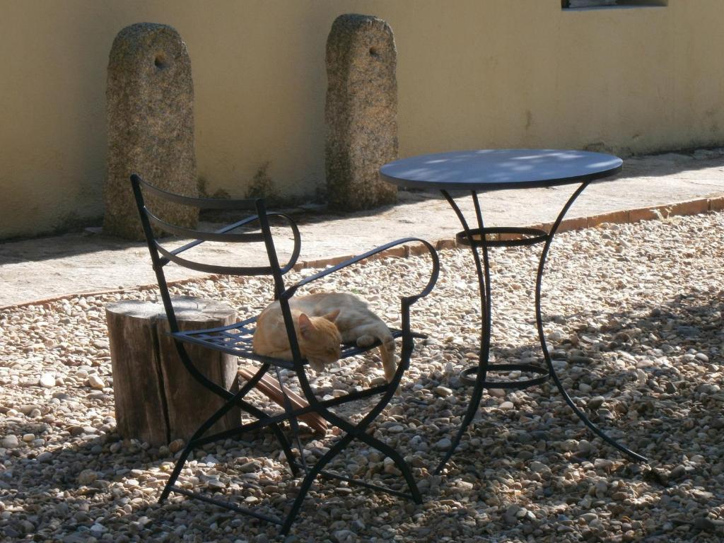 Quinta La Encarnacion Hotel Casar de Cáceres Екстериор снимка